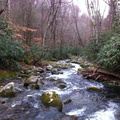 Great Smokies - 04